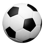 Lagsporter