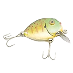 Fiske och jakt
